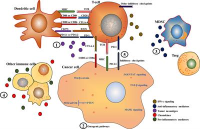 Overcoming resistance to immune checkpoint inhibitors in hepatocellular carcinoma: Challenges and opportunities